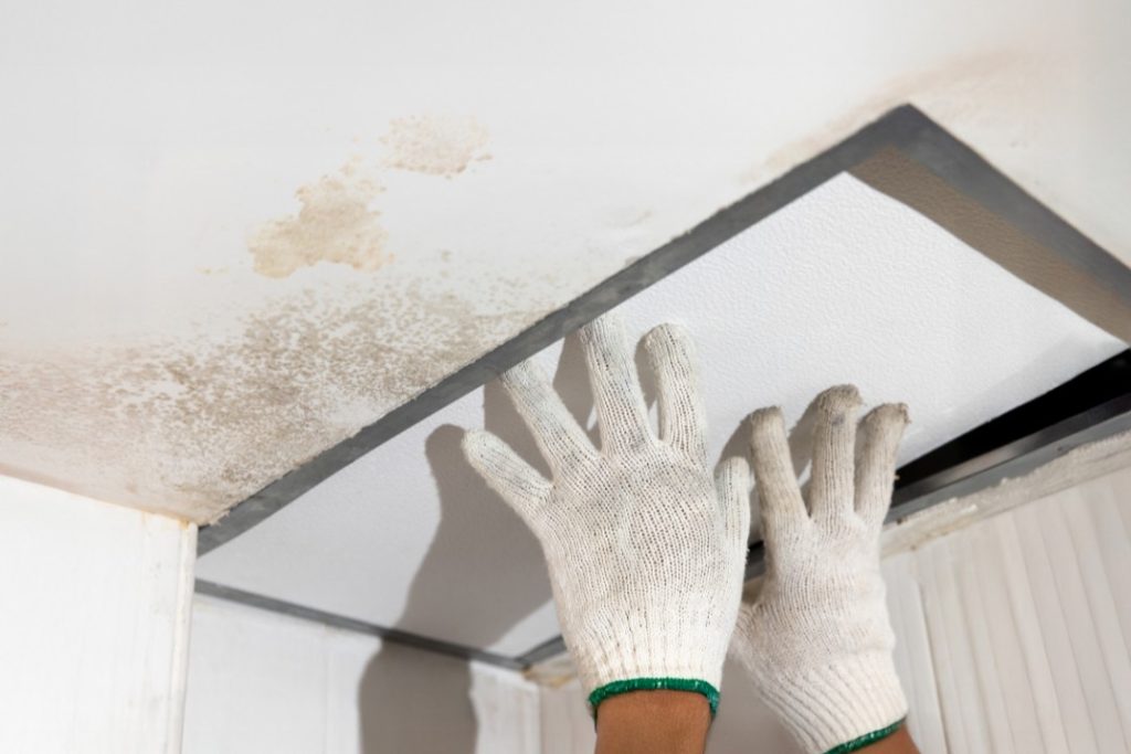 Moulds and water stains as signs of water leaks